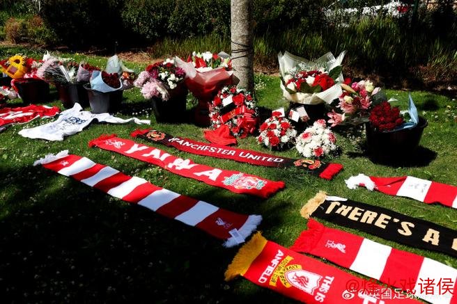 B费谈为若塔献花:怀念挚友,感谢利物浦给予致敬机会 B费谈为若塔献花:怀念挚友,感谢利物浦给予致敬机会