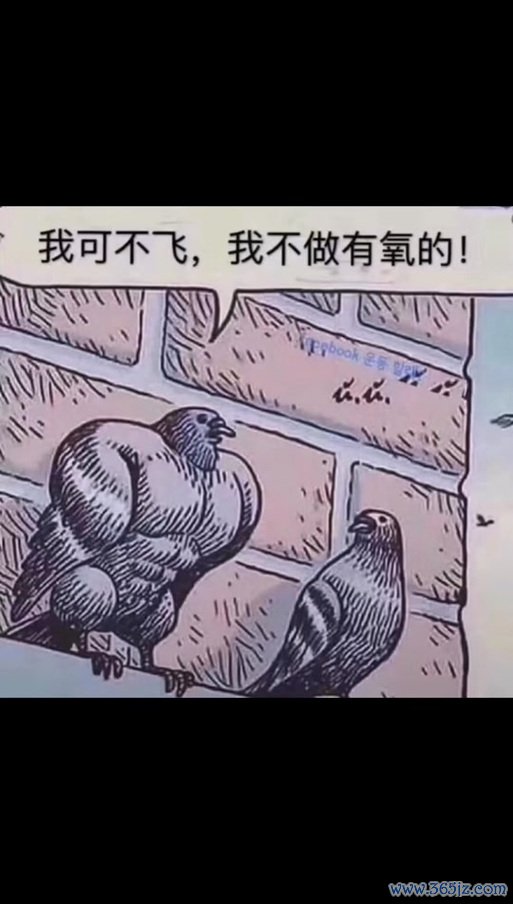 这项运动，没点真本事可不行！