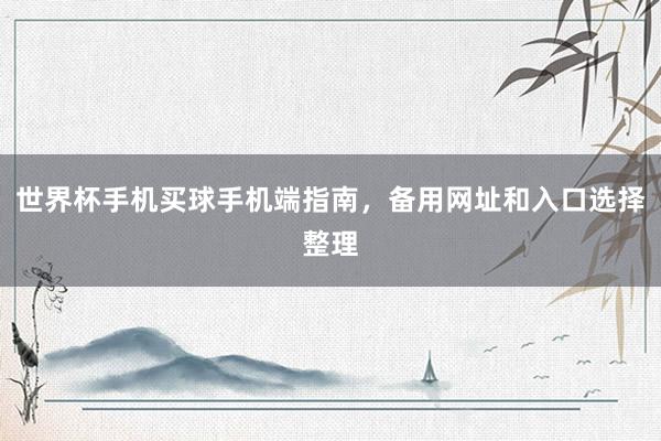 世界杯手机买球手机端指南，备用网址和入口选择整理